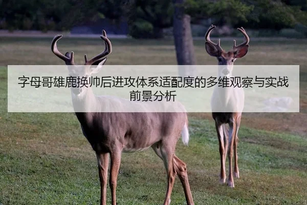 字母哥雄鹿换帅后进攻体系适配度的多维观察与实战前景分析